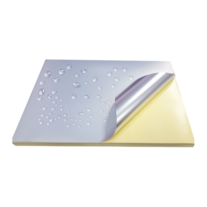 50um mat sølv kæledyrsfilm med gul silikoneforing