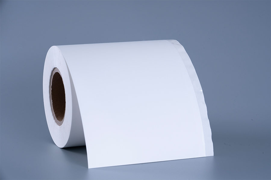 Etiket til frossen mad